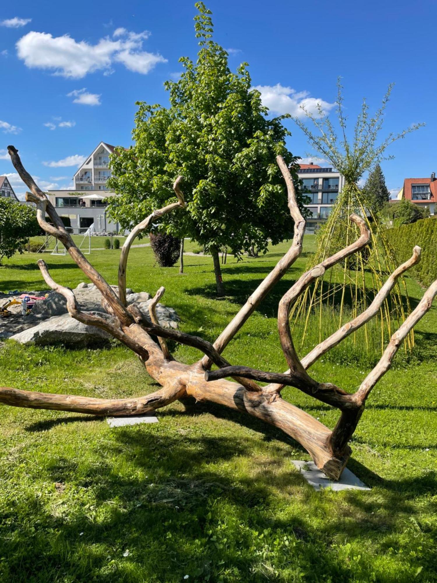 Hotel Traube am See Friedrichshafen Exterior foto